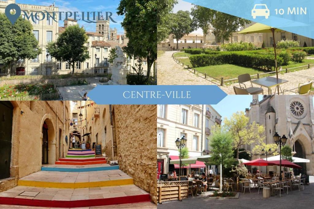 016- T2 Tropisme, Appart 1 Chambre,Clim,Wifi,Parking Montpellier Exterior foto